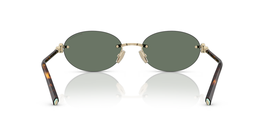 Tiffany Sunglasses TF3104D