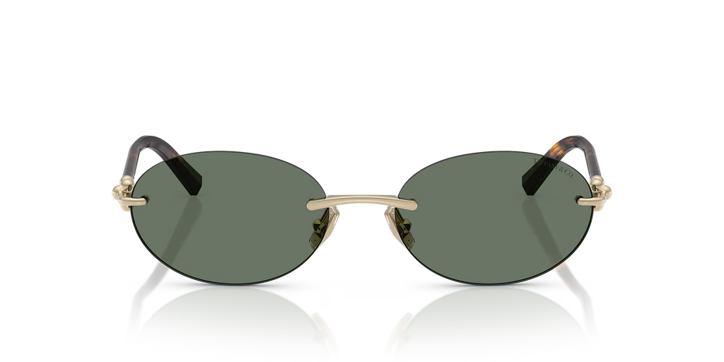 Tiffany Sunglasses TF3104D