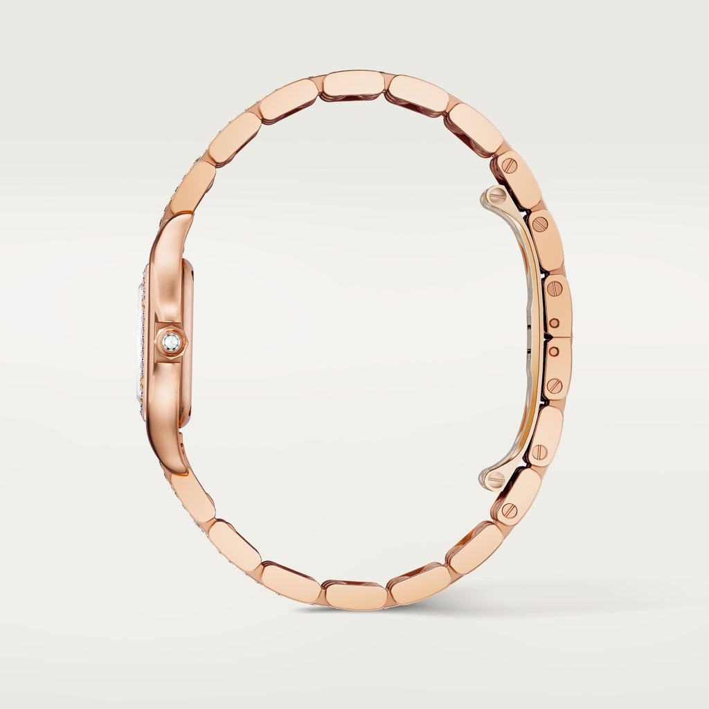 Panthère de Cartier watch