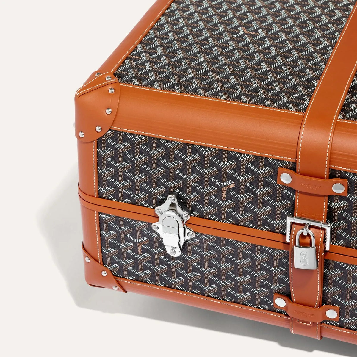 Goyard Bourget PM Trolley Case - Black & Tan - view 6
