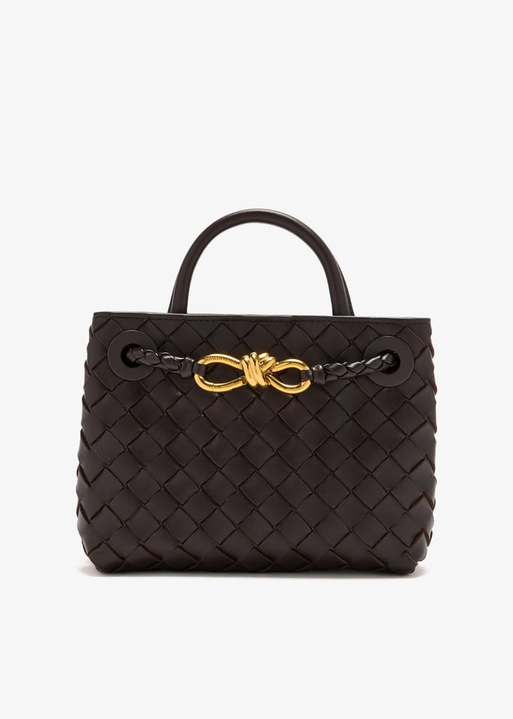 Bottega Veneta Mini Andiamo Bag