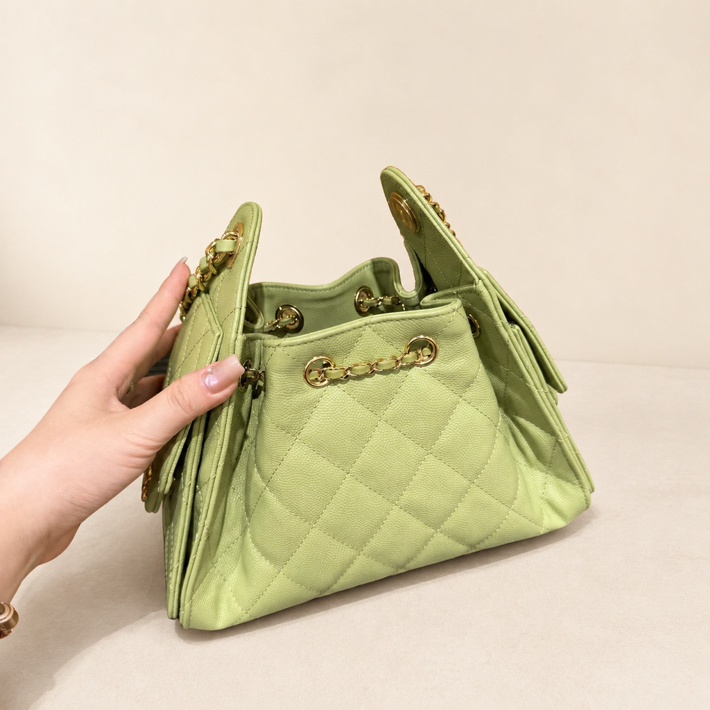 Chanel 25 Mini Hobo back view