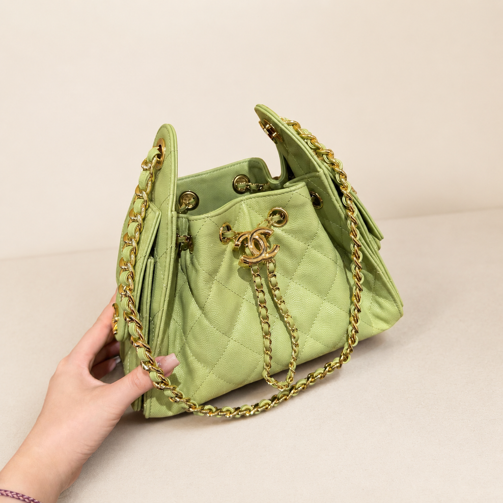 Chanel 25 Mini Hobo pistachio green front view