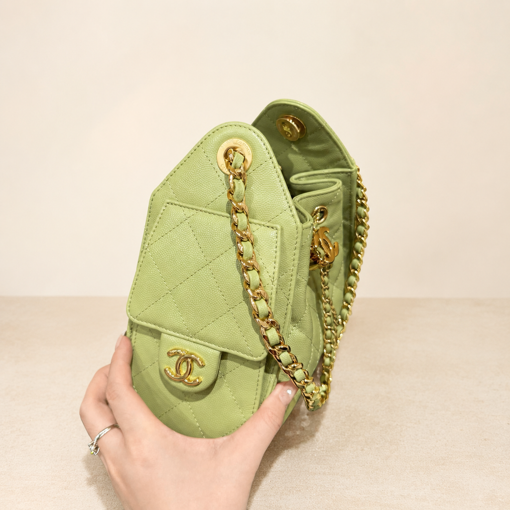 Chanel 25 Mini Hobo side view
