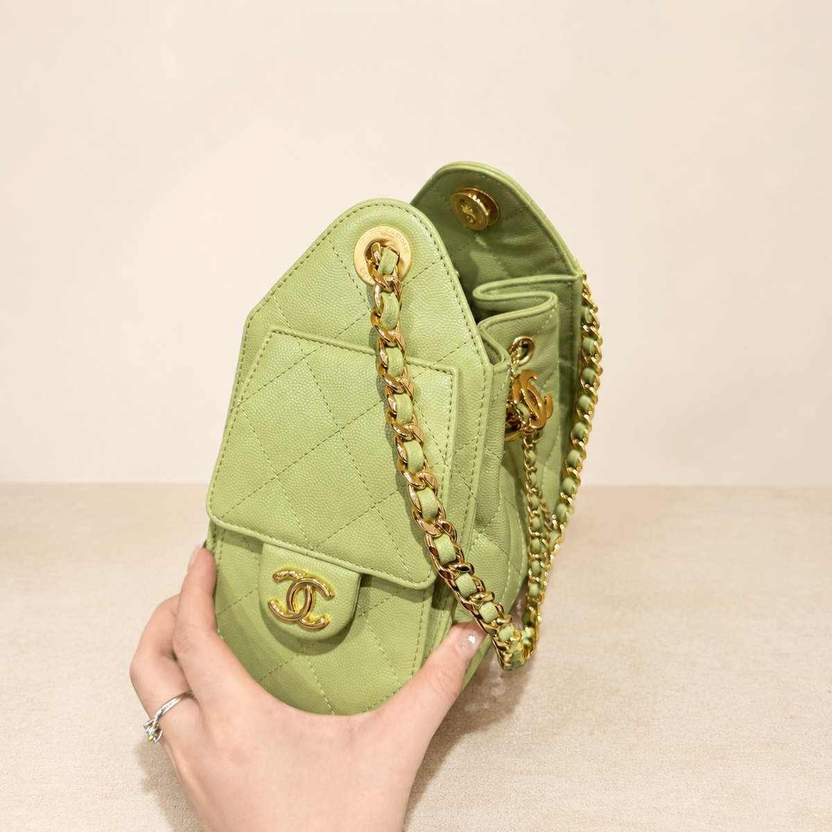 Chanel 25 Mini Hobo side view
