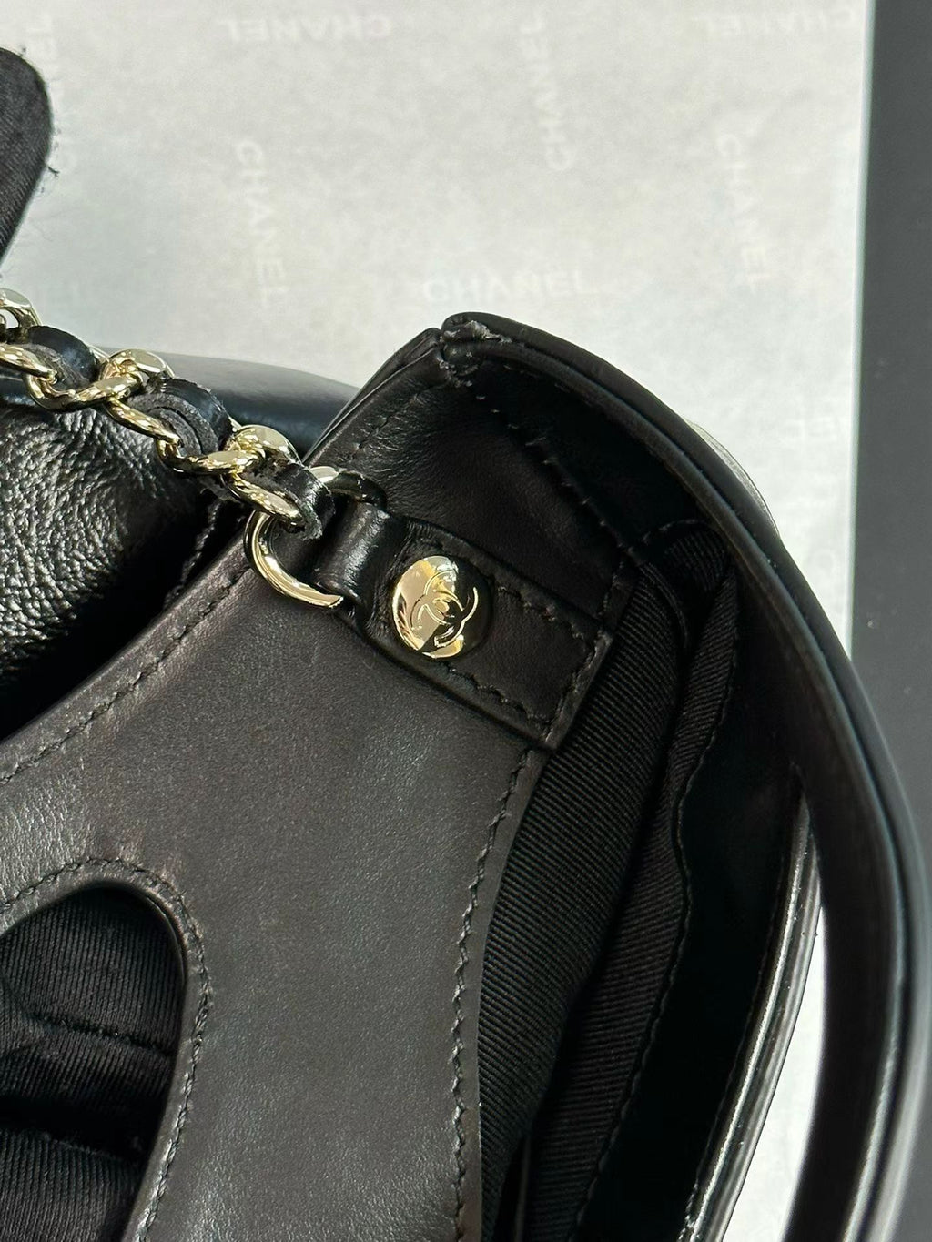 Black 31 Nano bag hardware detail