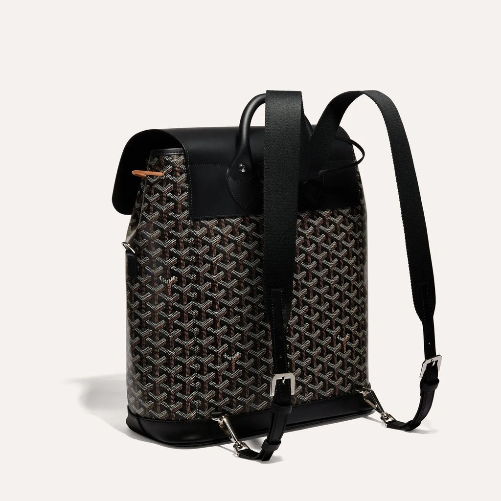 Goyard Alpin MM Backpack in Black, view 2