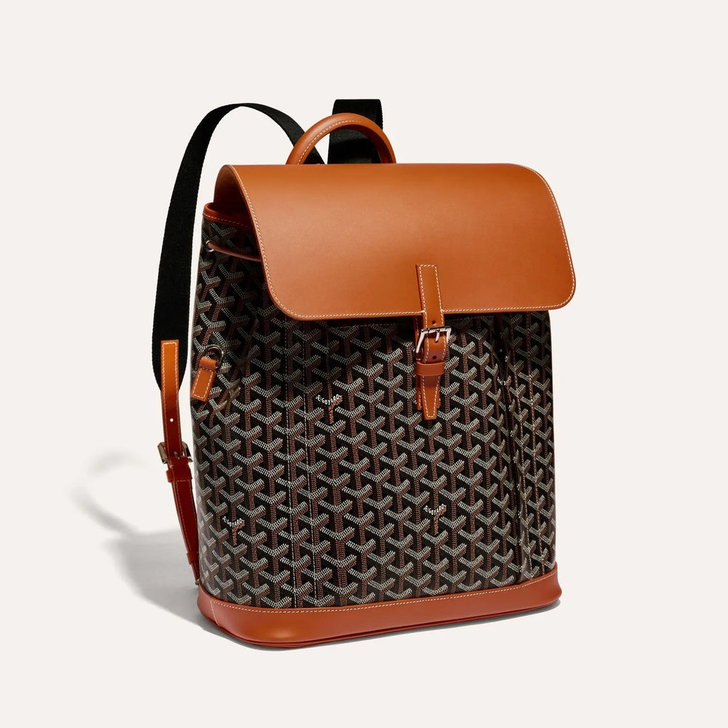 Goyard Alpin MM Backpack in Black & Tan, view 1