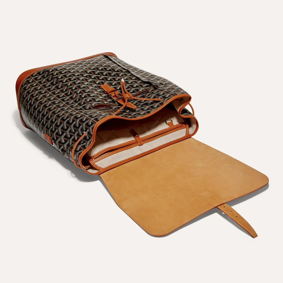Goyard Alpin MM Backpack in Black & Tan, view 4