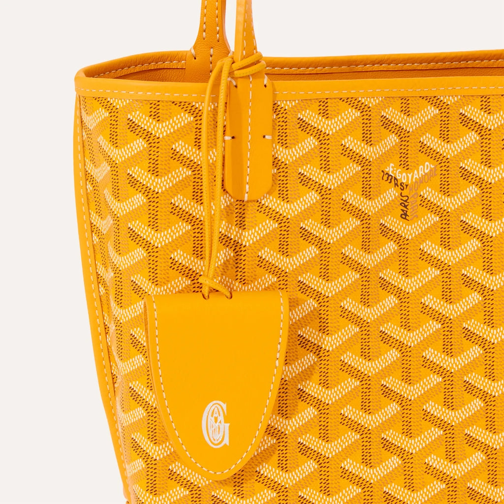 Goyard Anjou Mini Bag in Yellow, view 5