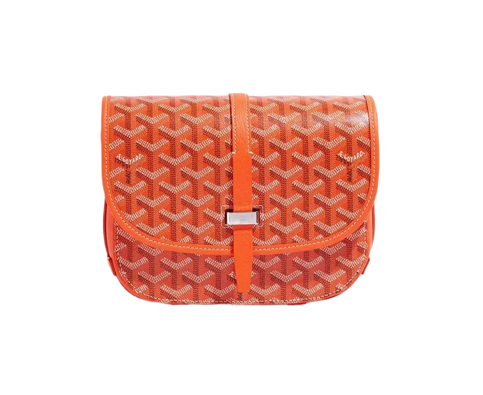 Goyard Belvedere PM Bag