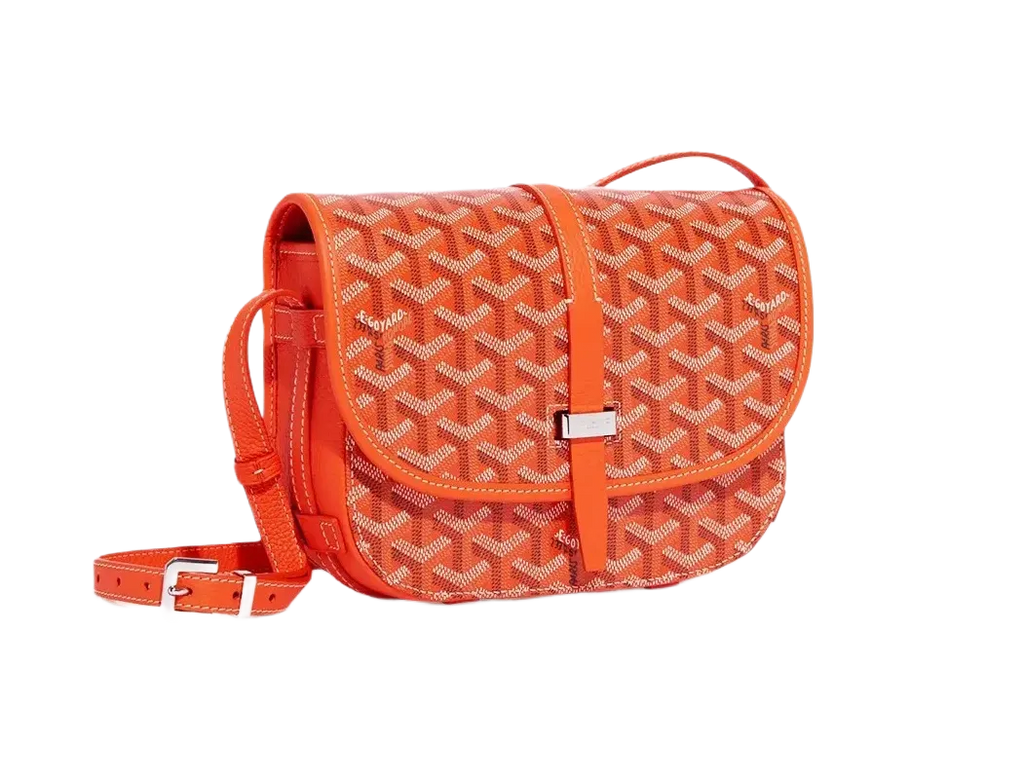 Goyard Belvedere PM Bag