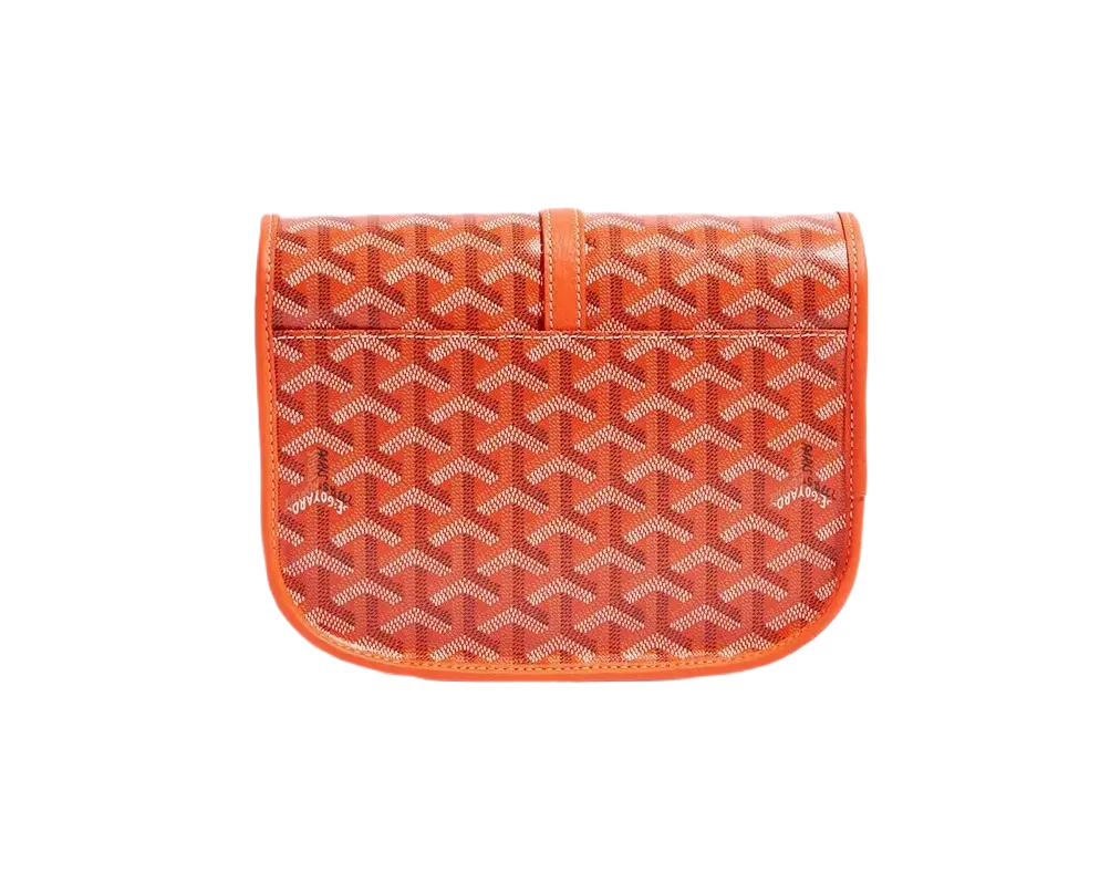 Goyard Belvedere PM Bag