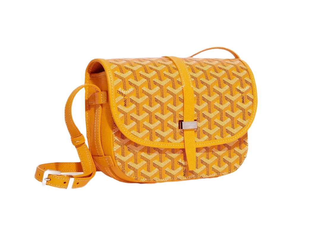 Goyard Belvedere PM Bag