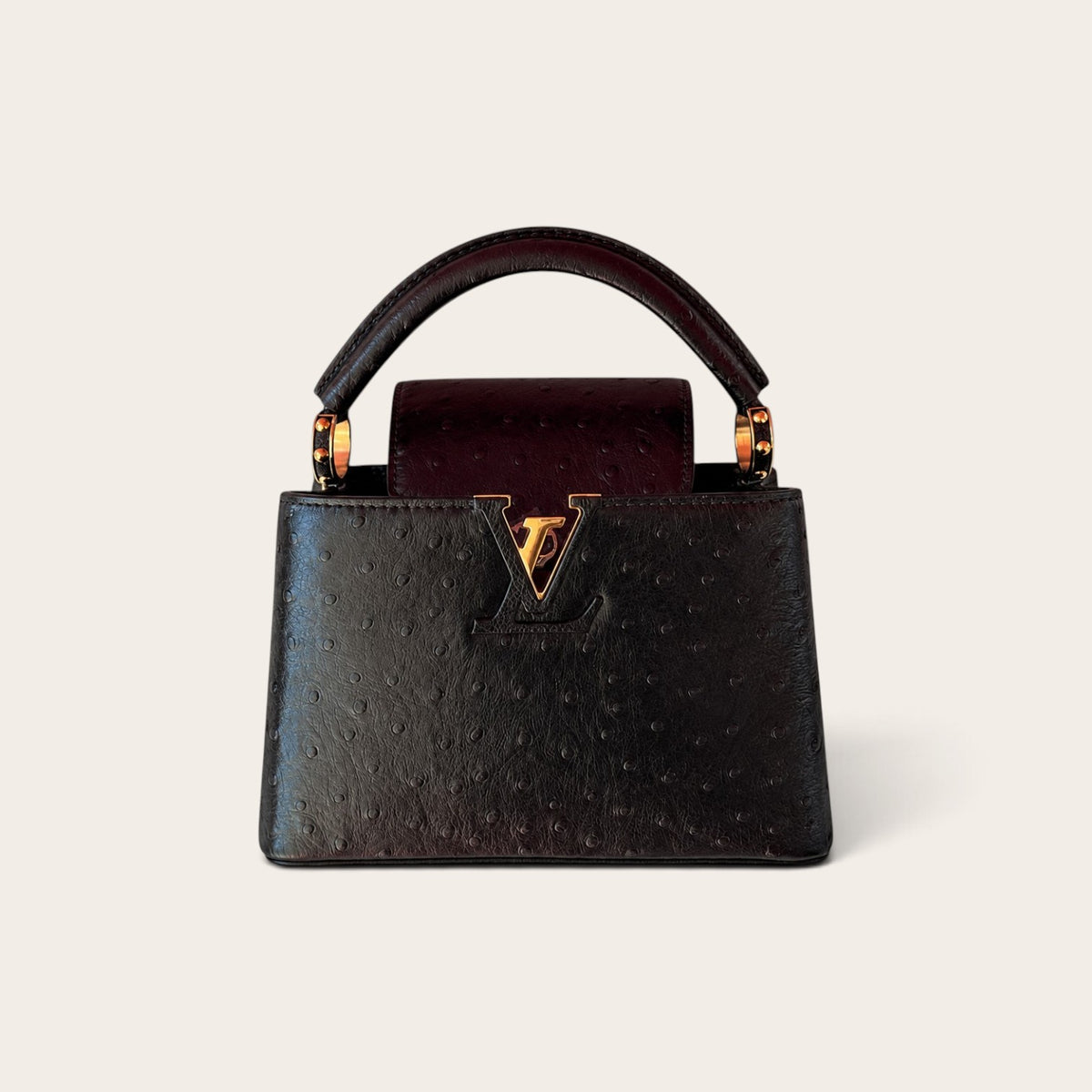 Louis Vuitton Capucines Mini – Black Ostrich